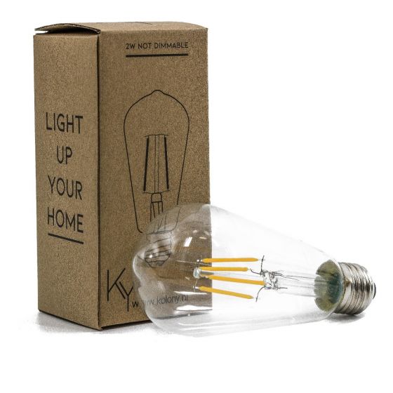 favoriete Continentaal Wet en regelgeving Led lamp 2 watt niet-dimbaar