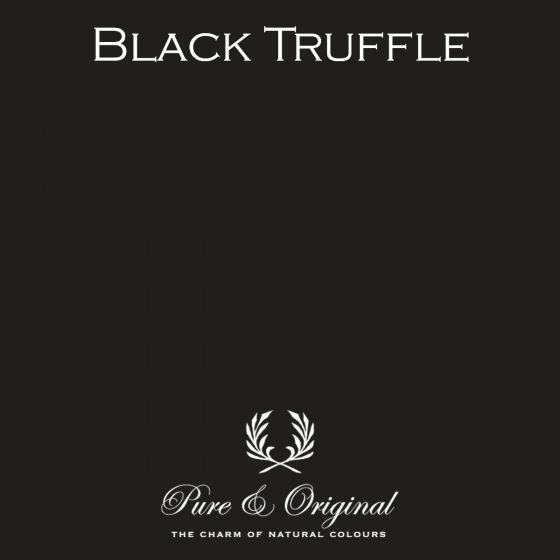 Traditional Paint High Gloss Black Truffle