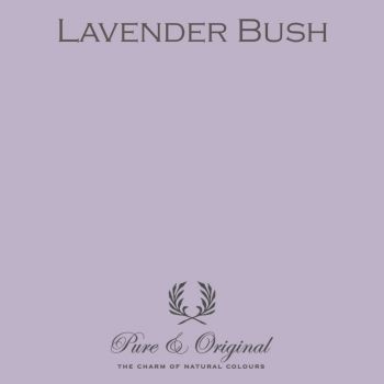 Pure & Original Classico Lavender Bush